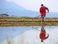 【大美中国】劳作在春日