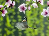 【春暖花开】赴一场春天的约会