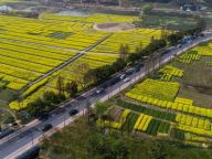 杭州：乡村振兴，公路先行