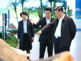 习近平在海南考察