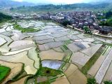 摄影小课堂：田园风光