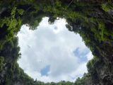 湖北恩施：“天坑”生态之美