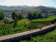 “四好农村路”助力乡村振兴