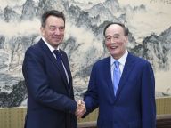 王岐山会见红十字国际委员会主席