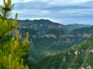 太行山上的“绿色长征”