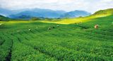 关爱基层干部  激发扶贫热情