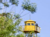 坚守在草原腹地的护林员