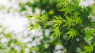 黄相怀：意识形态工作的根本任务