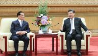 习近平会见连战一行