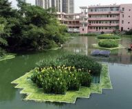 “生态浮岛”净水靓城