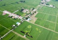 安徽寿县：稻田画进入观赏期