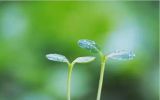 风雨兼程奋斗新时代