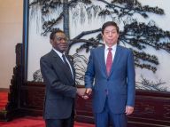 栗战书分别会见部分非洲国家领导人