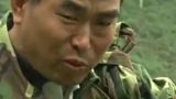 【中国梦实践者】“砍树劳模”用断20把锄头 把当年砍倒的树全栽回来