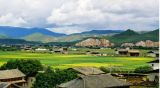 望得见山水 记得住乡愁