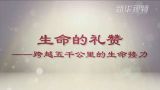 生命的礼赞——跨越五千公里的生命接力