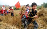 忆童年：一年一瞬间 带你穿越40年（33）