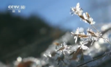 大型电视纪录片《六盘山》 第五集 回归