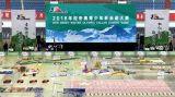 京张两地青少年88万枚骨牌呈现