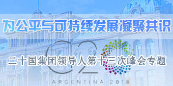 二十国集团领导人第十三次峰会专题