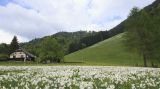 国际山岳日：山区很重要