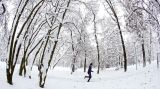 塞尔维亚雪景