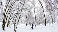 塞尔维亚雪景