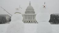 华盛顿降暴雪