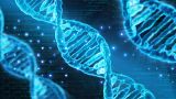 典读-《数字化生存》：二十年前的预言