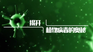 揭开植物病毒的奥秘