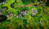 将组织路线作为政治路线发力点
