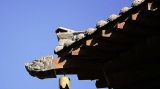 【纪实】天下大同 第七集 云中之城