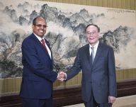王岐山会见吉布提外长优素福