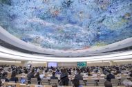 中国代表：中国各民族都是中华民族大家庭的一分子