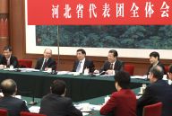 王沪宁参加河北代表团审议