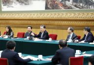 赵乐际参加辽宁代表团审议