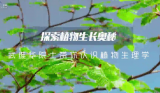 探索植物生长奥秘 武维华院士带你认识植物生理学