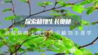 探索植物生长奥秘 武维华院士带你认识植物生理学