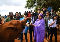 专访：环保要以身作则 从身边小事做起——访联合国环境署亲善大使王俊凯