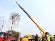 北京造林绿化建设全面启动 今年将新增造林25万亩