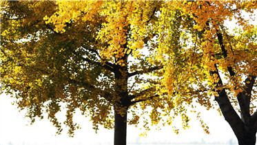 为改革发展稳定营造良好法治环境——中央全面依法治国委员会第二次会议精神解读