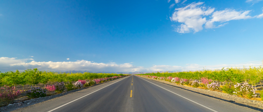 坚定中国特色社会主义道路自信