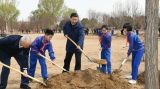 习近平：推动国土绿化不断取得实实在在的成效