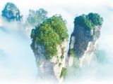 第一个国家森林公园