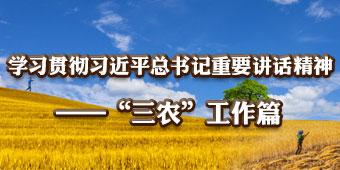 学习贯彻习近平重要讲话精神——三农工作篇