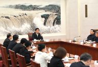 栗战书同部分全国人大代表座谈