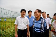 一颗稻谷里的爱国情怀