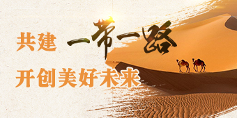 第二届“一带一路”国际合作高峰论坛专题