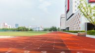 习近平总书记在学校思想政治理论课教师座谈会上重要讲话的关键词解读