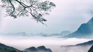 如何增强政府的服务职能